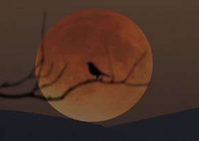 “Blood moon”: Total lunar eclipse will be longest moon visible this century