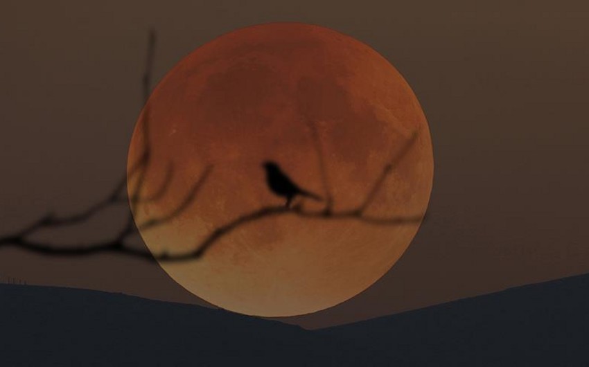 “Blood moon”: Total lunar eclipse will be longest moon visible this century