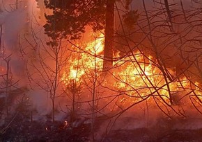 В Бурятии к тушению лесных пожаров привлекли два пожарных поезда