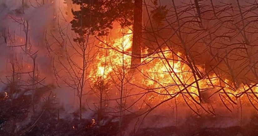 В Бурятии к тушению лесных пожаров привлекли два пожарных поезда