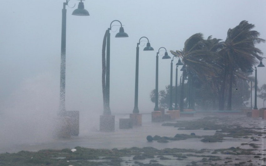 Число погибших из-за урагана Ирма возросло до 55