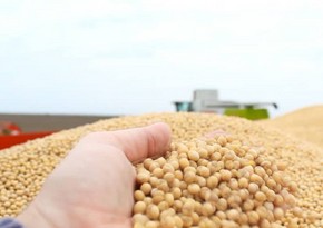 Azerbaijan resumes soy imports from China