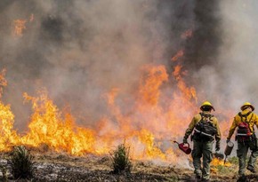 7 killed by wildfires in South Africa's KwaZulu-Natal Province