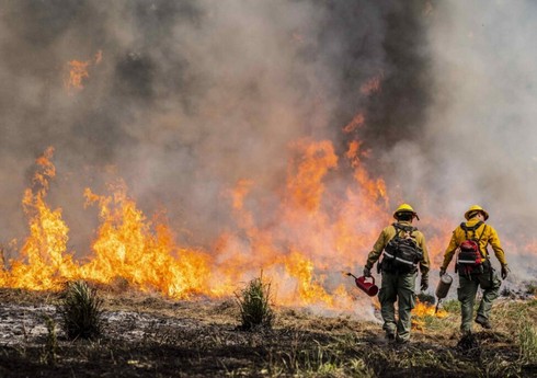 По меньшей мере семь человек погибли при лесных пожарах на востоке ЮАР