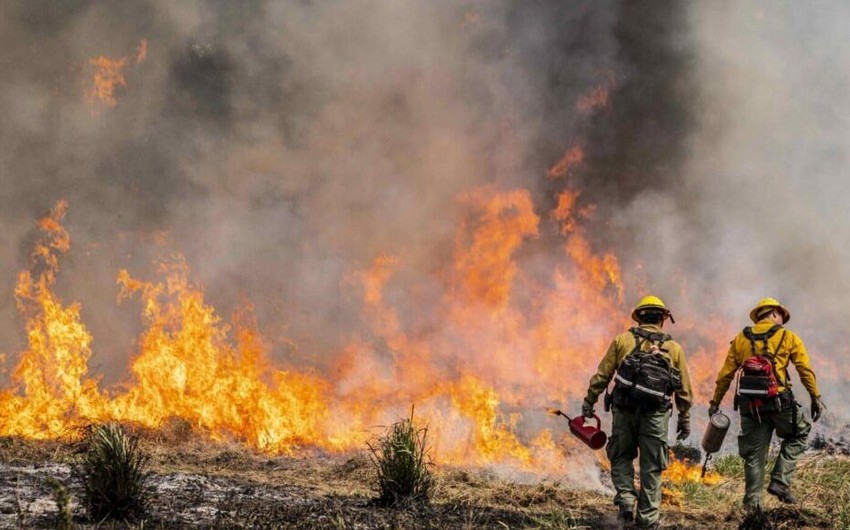 7 killed by wildfires in South Africa's KwaZulu-Natal Province