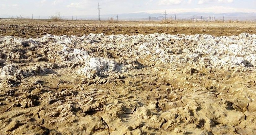 Восстановление плодородия засоленных почв в Азербайджане станет важным шагом в рамках COP29
