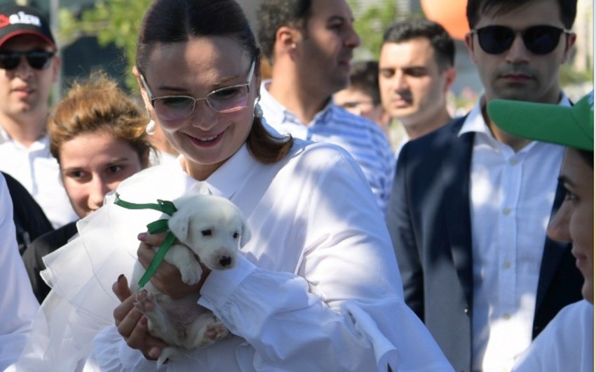Ганира Пашаева взяла собаку из Центра Топлан