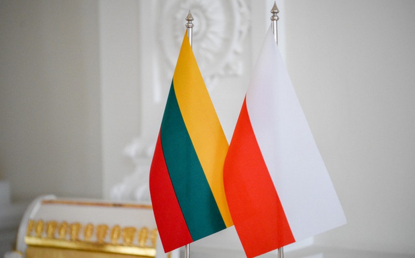 Польша присоединилась к действующему в Литве Центру энергобезопасности НАТО