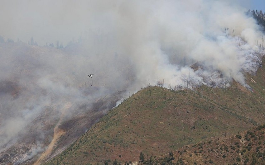 Пожар в Боржоми-Харагаульском лесу в Грузии продолжается