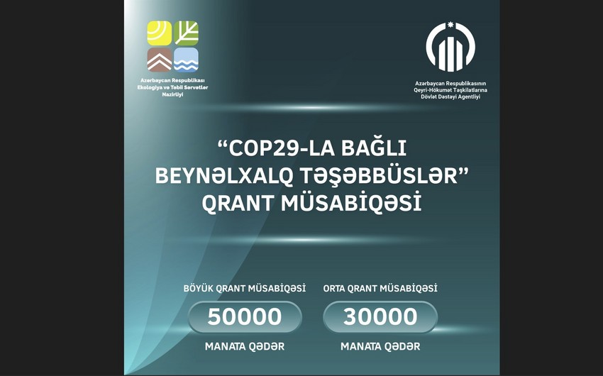 Объявлен грантовый конкурс на тему международных инициатив по COP29 для НПО