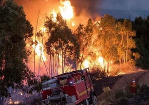 В Испании эвакуировали более 3 тыс. человек из-за лесного пожара