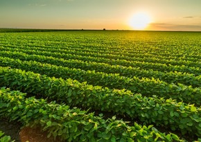 Azerbaijan reduces agricultural expenses by 8%