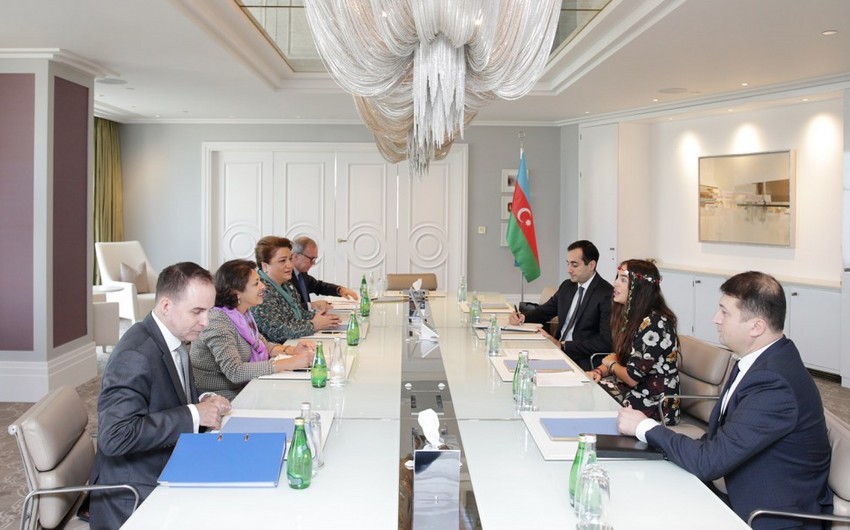 Лейла Алиева встретилась с региональным директором ЮНИСЕФ