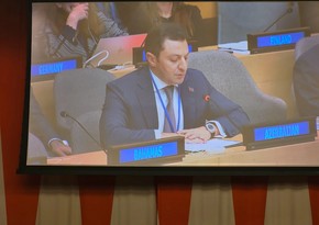 Azerbaijan's deputy FM speaks at ministerial meeting dedicated to situation in Gaza