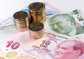 Türkiyə Mərkəzi Bankı uçot dərəcəsini 30 %-ə qaldırıb