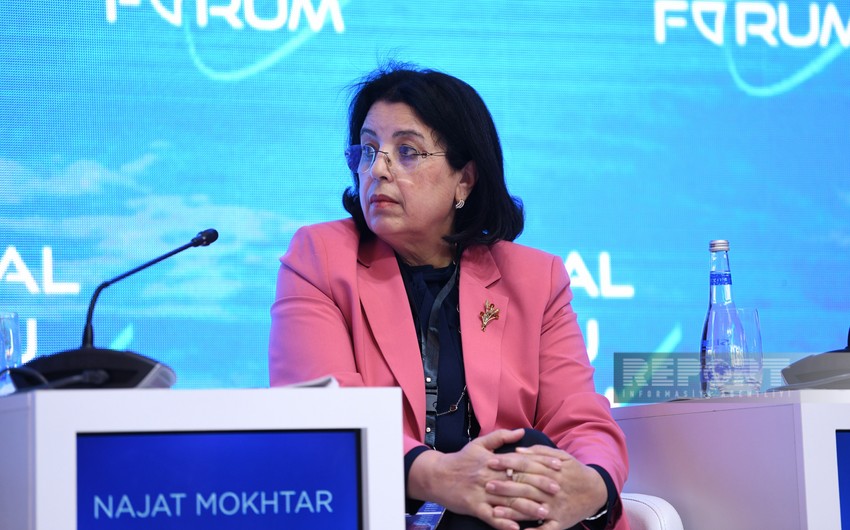 Najat Mokhtar: Investments in healthcare are investments in human capital