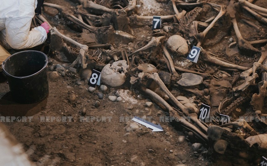 Идентифицируются найденные в Грузии останки жертв репрессий