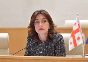 Azerbaijan-Georgia strategic partnership vital for regional development, says FM