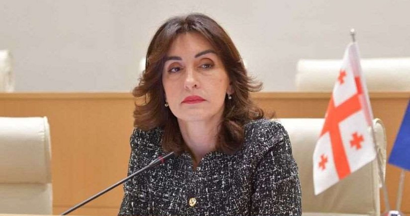 Azerbaijan-Georgia strategic partnership vital for regional development, says FM