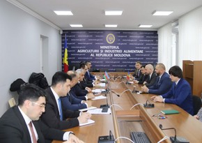 Azərbaycan və Moldova aqrar sektorda əməkdaşlığı müzakirə edib