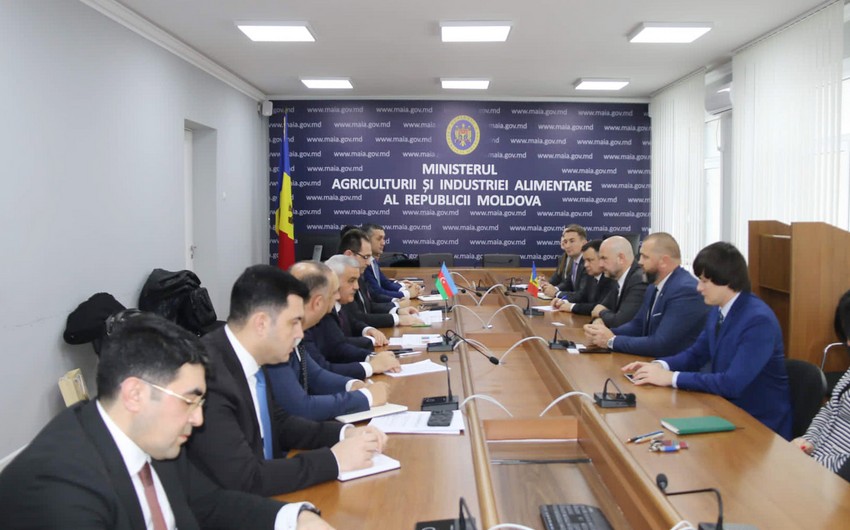 Azərbaycan və Moldova aqrar sektorda əməkdaşlığı müzakirə edib