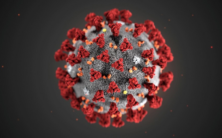 Ученые предрекли более тяжелую вторую волну коронавируса