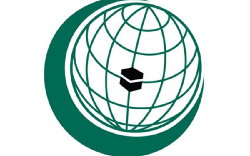 Contact Group of OIC intends to provide international support for Palestine