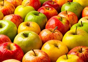 РФ в 2024 году импортировала больше всего яблок из Азербайджана, Сербии и Китая