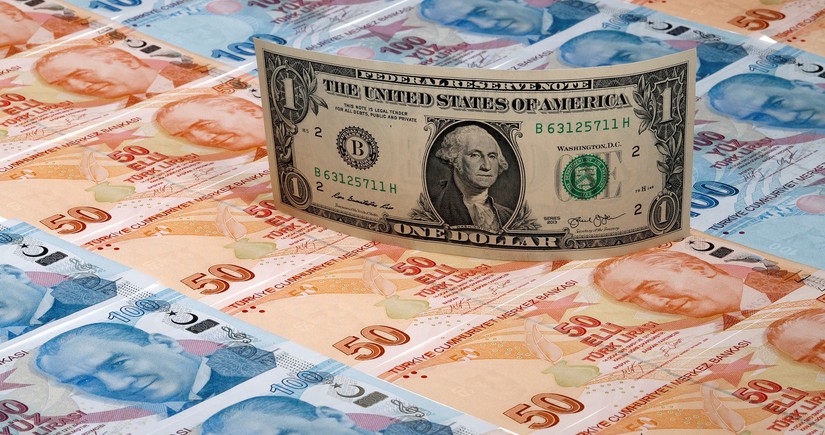 Минфин Турции спрогнозировал ускорение дедолларизации в республике