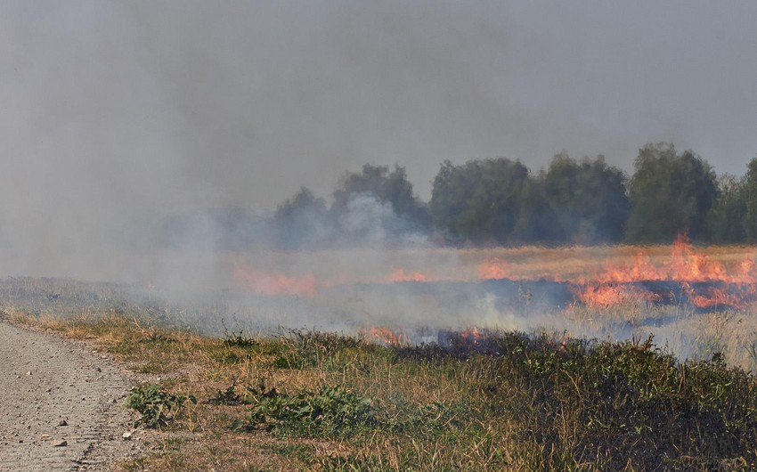 В Акстафе подожгли скошенное зерновое поле