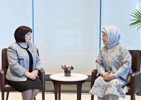 Эмине Эрдоган высоко оценила поддержку Азербайджана в связи с землетрясением