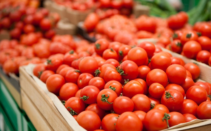 РФ разрешила Турции ввозить томаты без ограничений по предприятиям