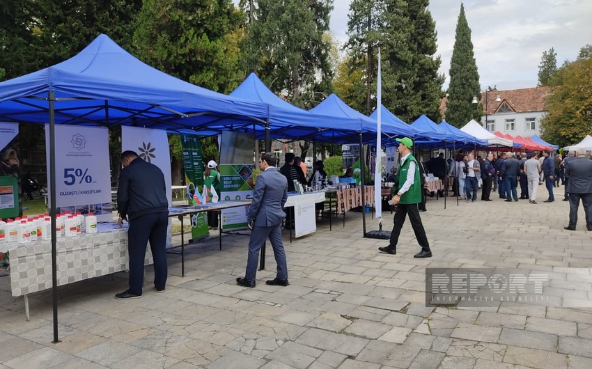 Qaxda toxum sərgi-satış yarmarkası keçirilib