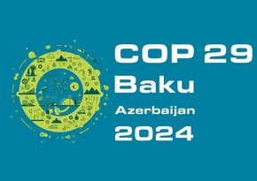 Xosrov Zamani: “Anglo-Asian Mining Plc” COP29-da iştirak etməyə hazırdır”