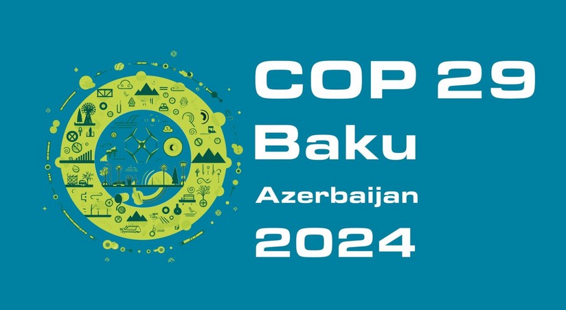 Expert: 'I Expect Progress On New Climate Finance Targets From COP29 ...