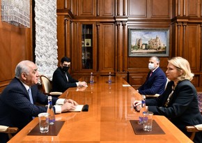 Али Асадов встретился с министром экономики и устойчивого развития Грузии