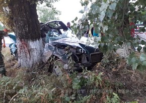 В Губе автомобиль врезался в дерево, есть погибшие