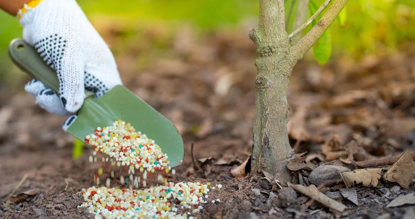 Azerbaijan resumes exporting organic fertilizer to Türkiye