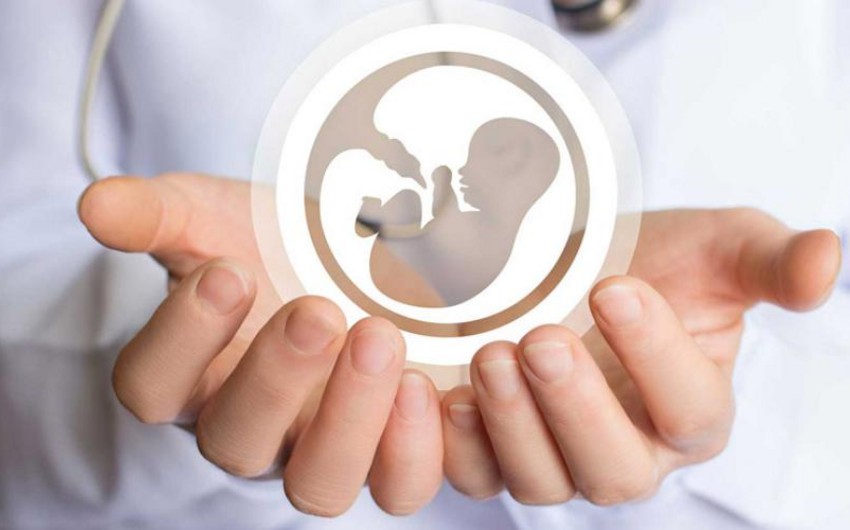 Model bill on reproductive health developed in Azerbaijan