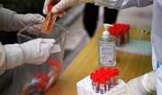 Russia sends inquiry to China over new virus