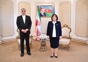 Sahibə Qafarova İran Parlamenti sədrinin müavini ilə görüşüb