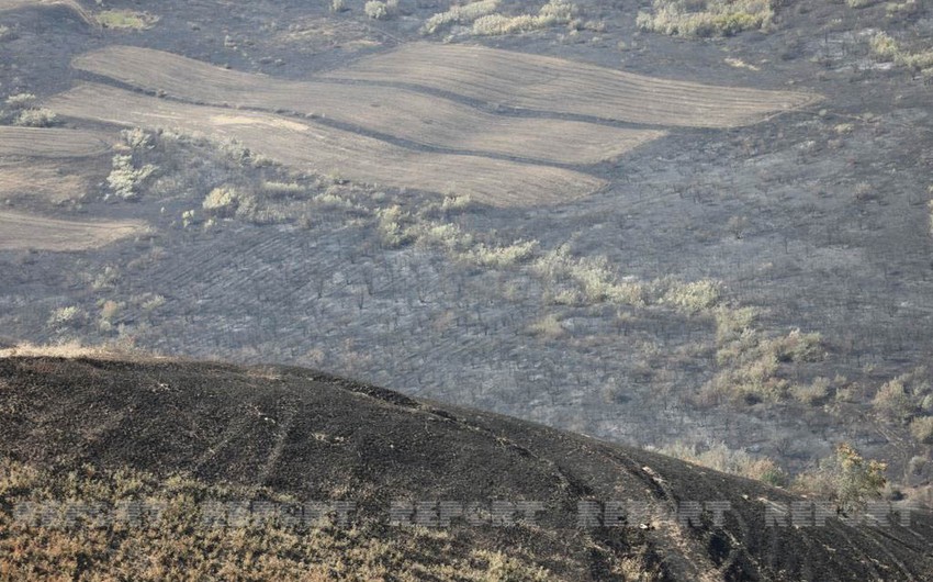 Burnt areas of Azerbaijan to be mapped