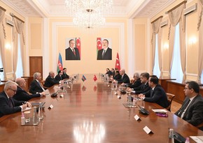 Али Асадов обсудил с Нуманом Куртулмушем развитие азербайджано-турецких связей