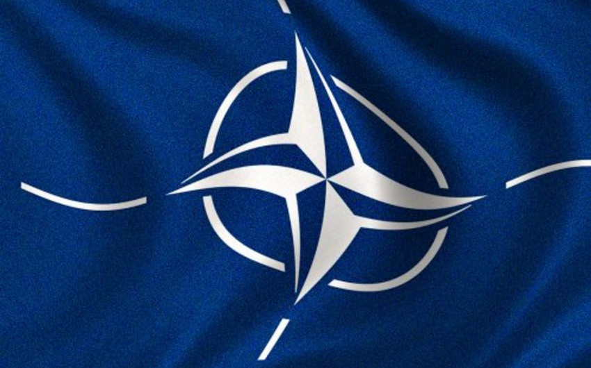 НАТО не намерена давать гарантии невступления Украины и Грузии в альянс