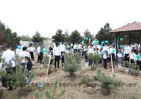 Baku hosts tree-planting campaign