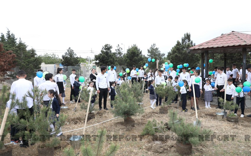 Baku hosts tree-planting campaign