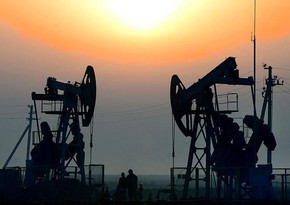 TPAO планирует начать поиски нефтяных залежей в провинции Газиантеп на юго-востоке Турции      
