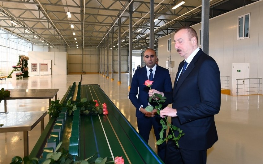 Президент Азербайджана ознакомился в Габале с цветоводческой теплицей