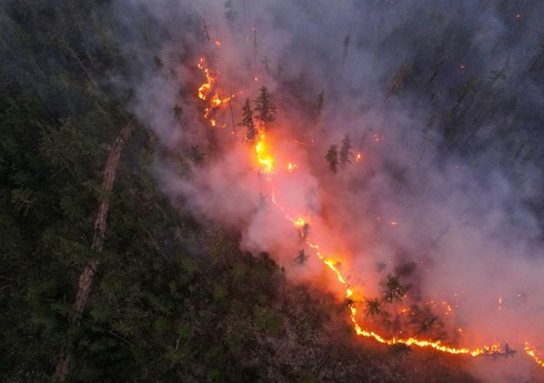 Площадь лесных пожаров в Якутии достигла почти 550 тыс. га