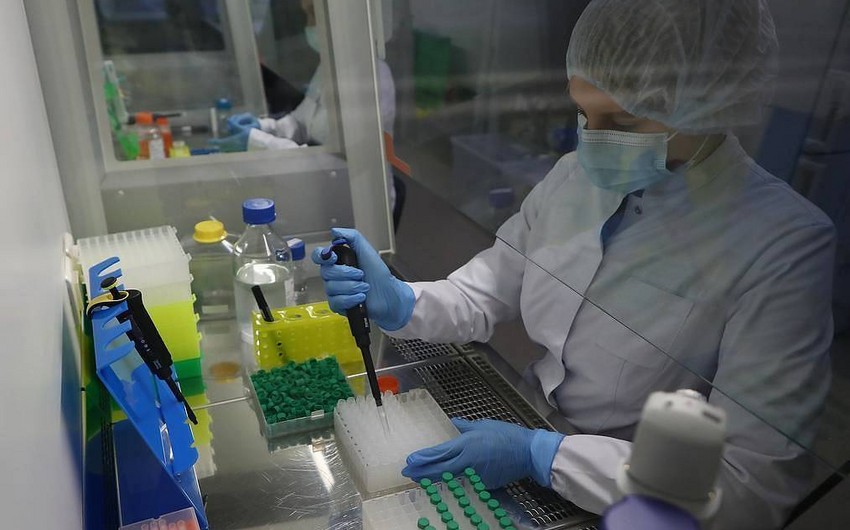 Начались испытания белорусской вакцины против коронавируса
